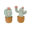 Cactus Pot Shelf Sitter - 2 Asst(Cactus Pot Shelf Sitter) -Mon Ami Toys Store DA1001