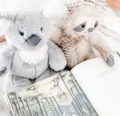 Sydney Koala Plush Toy(89454) -Mon Ami Toys Store IMG 1447sq