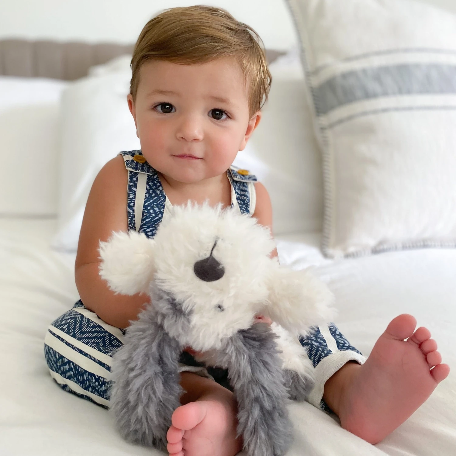 Puppy(Jojo Puppy) 4 Puppy(Jojo Puppy) - Image 2