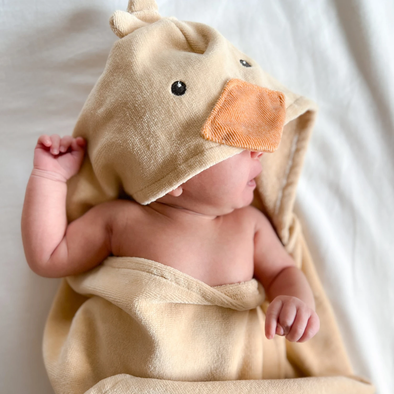 Hooded Towel- Chick(Hooded Towel Chick) 4 Hooded Towel- Chick(Hooded Towel Chick) - Image 2