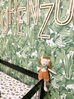 Leopold Lion Soft Toy(Leopold Lion Soft Toy) -Mon Ami Toys Store LD1053 LS4