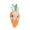 Bunny In Carrot Activity Toy(Bunny In Carrot Activity Toy) 1 Bunny In Carrot Activity Toy(Bunny In Carrot Activity Toy) -Mon Ami Toys Store PP1021 PS2
