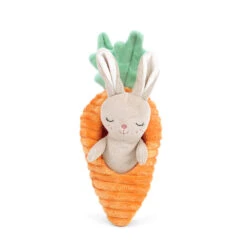 Bunny In Carrot Activity Toy(Bunny In Carrot Activity Toy)