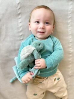 Taylor The Turtle Blankie(Taylor The Turtle Blankie) -Mon Ami Toys Store SB1003 LS2